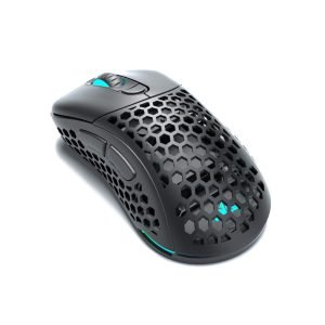 Black Mouse
