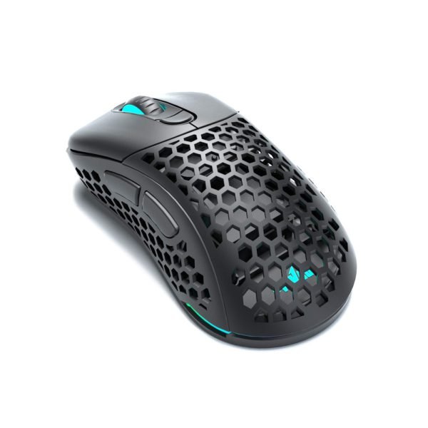 Black Mouse